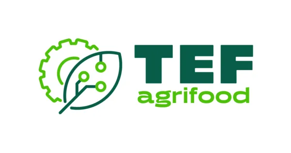 Agrifood TEF Horizontal logo Original Colours copy